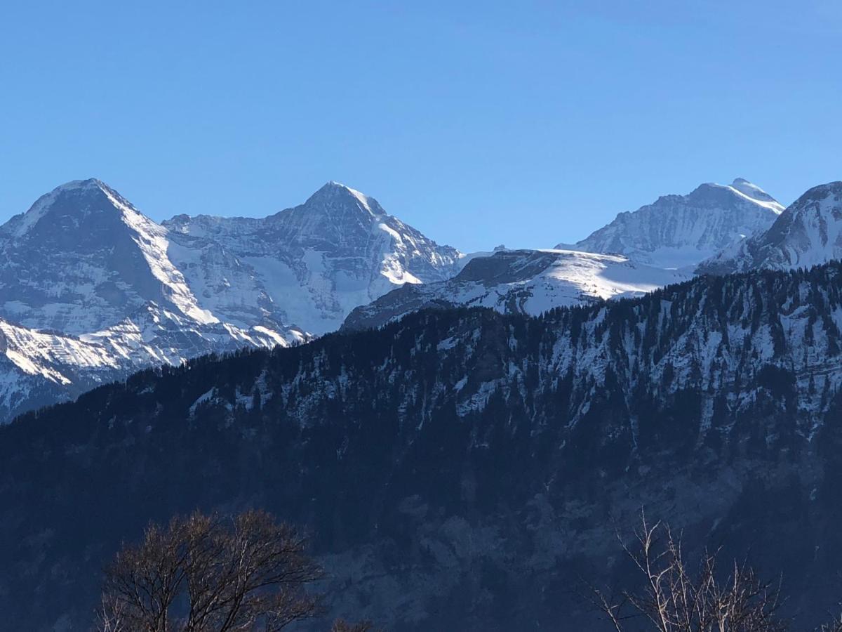 Wohnung Mit See Und Bergsicht Im Vier Sterne Hotel Beatenberg Εξωτερικό φωτογραφία