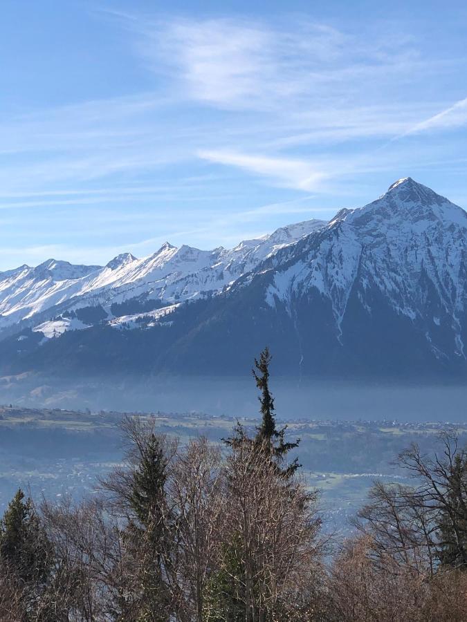 Wohnung Mit See Und Bergsicht Im Vier Sterne Hotel Beatenberg Εξωτερικό φωτογραφία