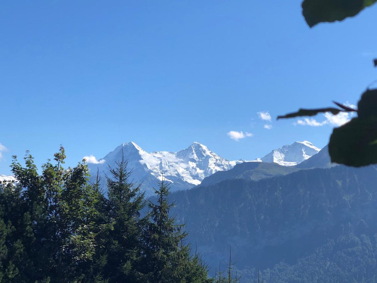 Wohnung Mit See Und Bergsicht Im Vier Sterne Hotel Beatenberg Εξωτερικό φωτογραφία