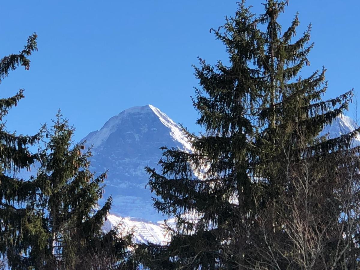 Wohnung Mit See Und Bergsicht Im Vier Sterne Hotel Beatenberg Εξωτερικό φωτογραφία