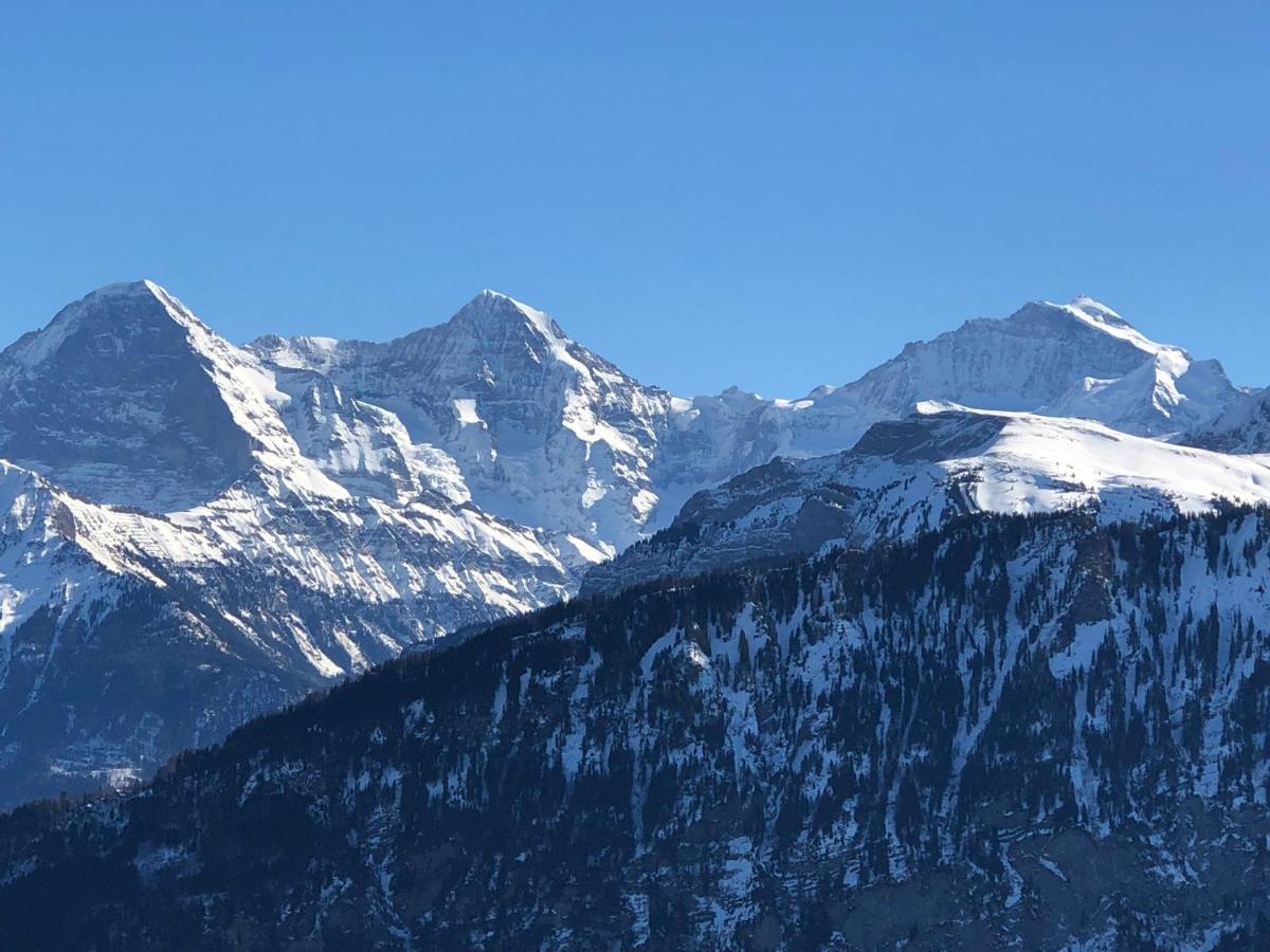 Wohnung Mit See Und Bergsicht Im Vier Sterne Hotel Beatenberg Εξωτερικό φωτογραφία