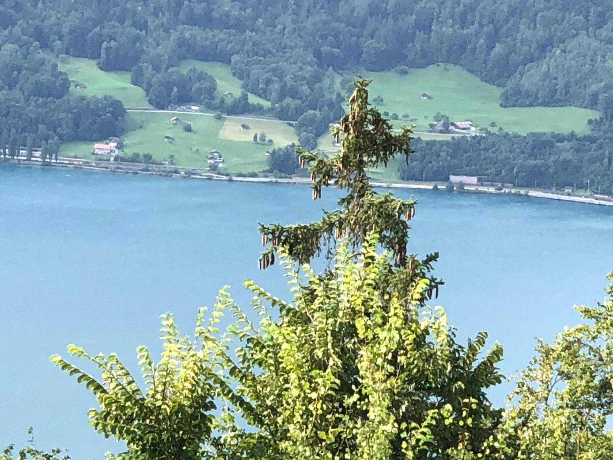 Wohnung Mit See Und Bergsicht Im Vier Sterne Hotel Beatenberg Εξωτερικό φωτογραφία